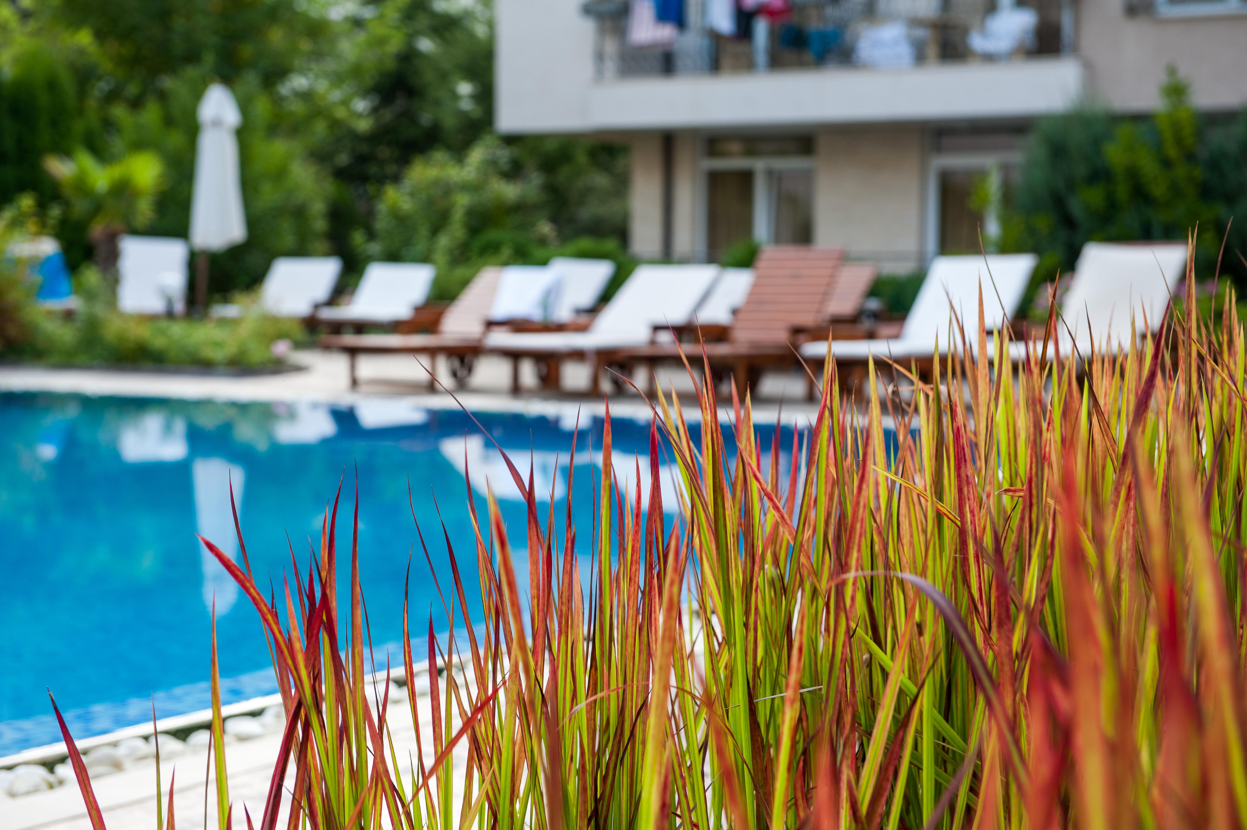 Dawn Park Complex Aparthotel Sunny Beach Exterior photo